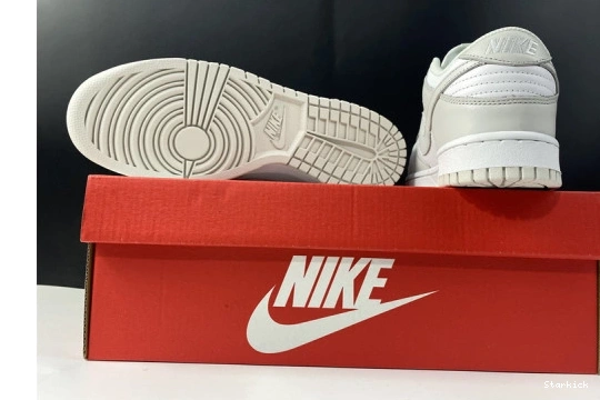 DD1503-103 "Photon Low Nike Dust" Dunk 0115